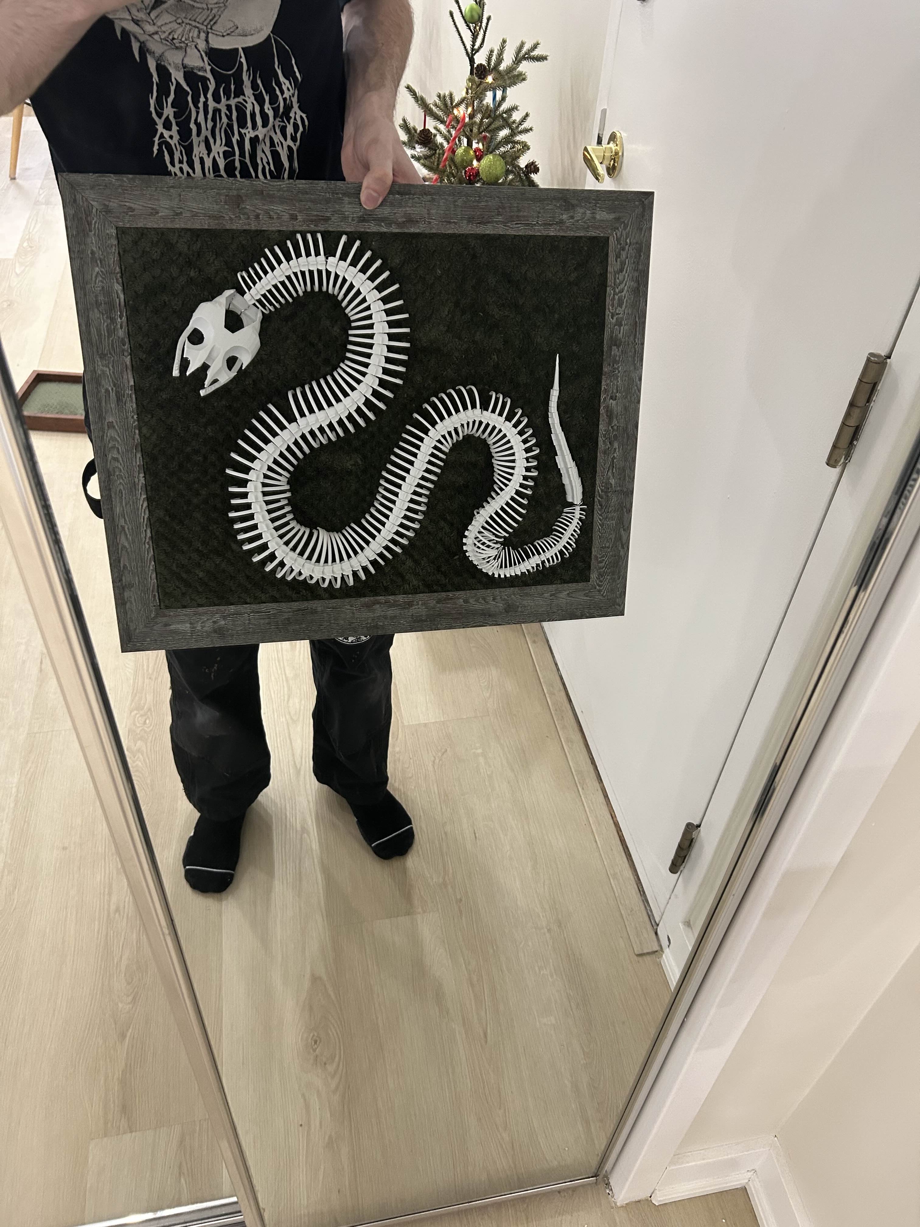 Snake Skeleton